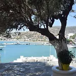 Amaryllis بيت للعطل باتسي