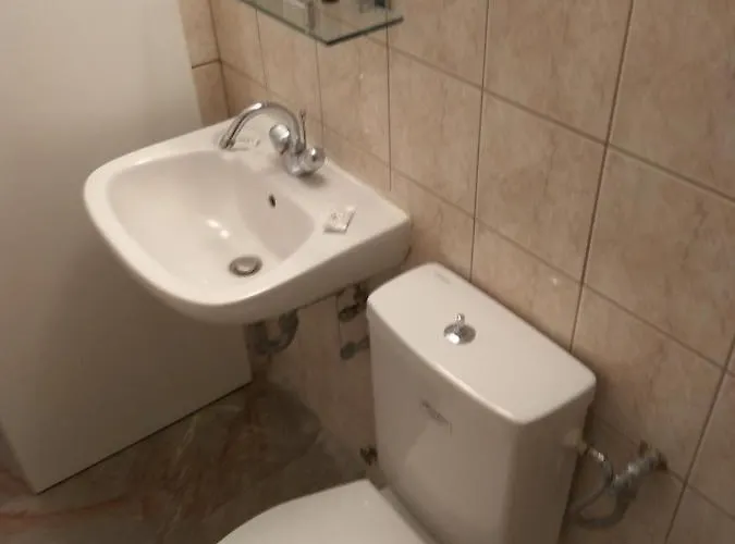 Amaryllis * バトシ